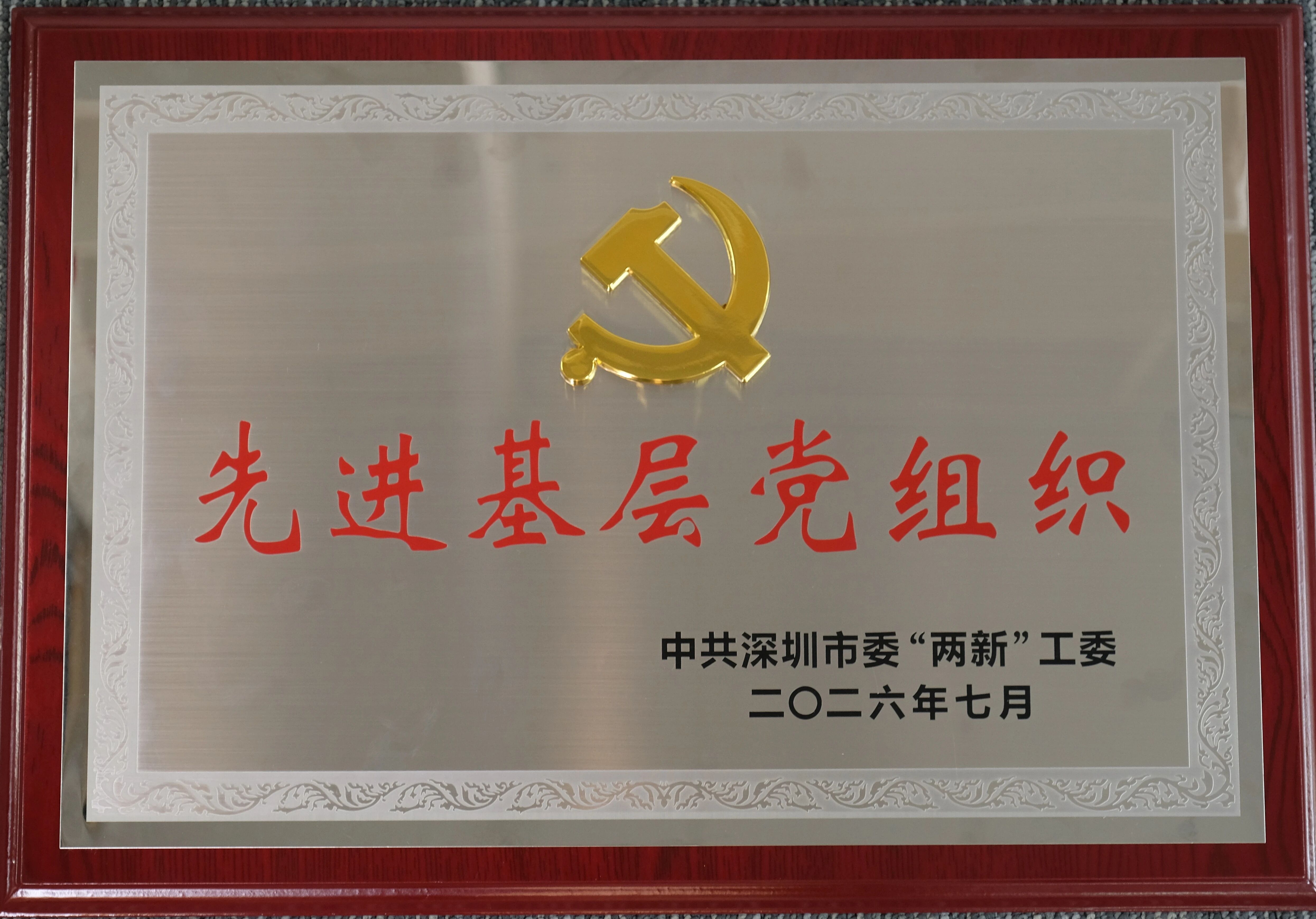喜讯——协会党支部获“先进基层党组织”荣誉称号！
